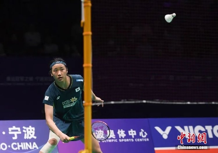 网坛快速更 网坛快速更