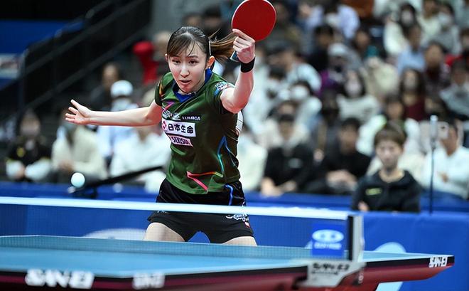 深圳队13 深圳队13