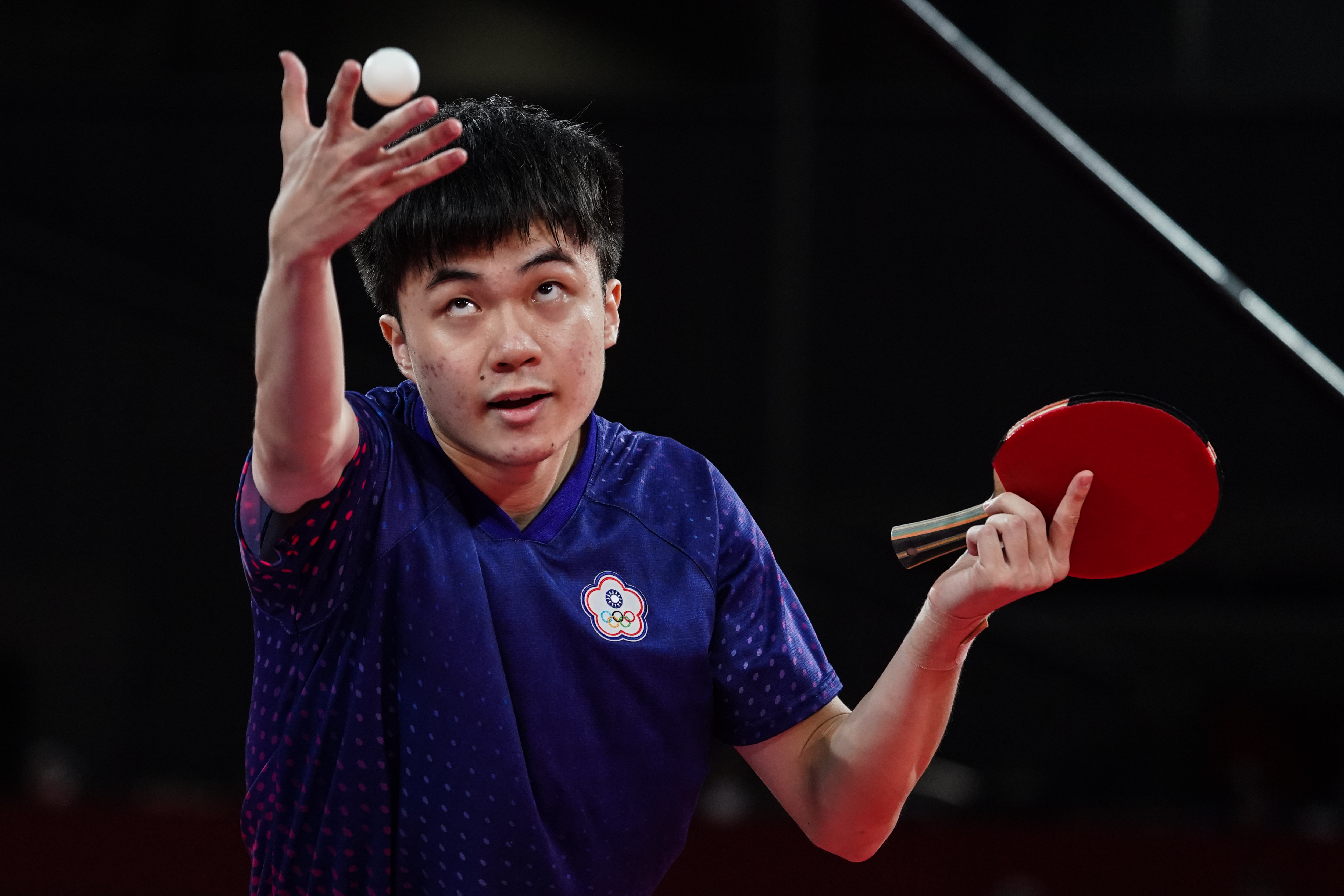 的世界里 的世界里